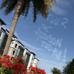 tropical landscaping