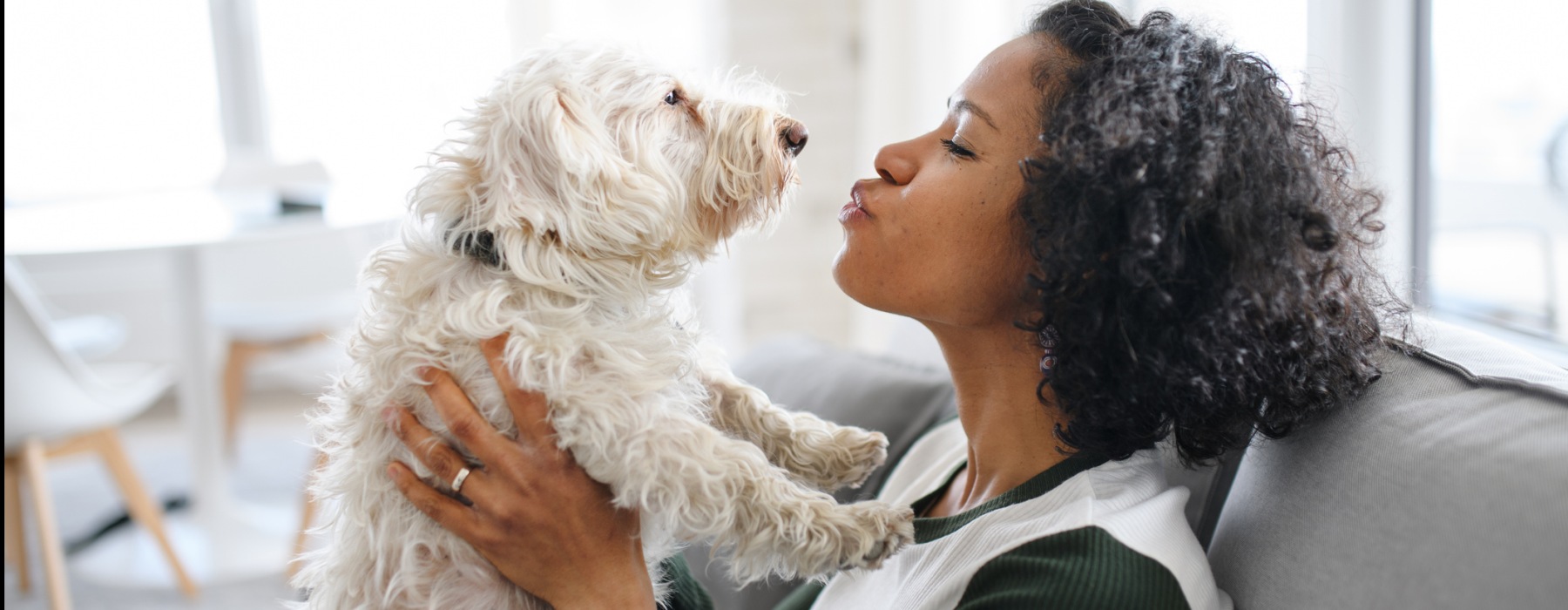 A Pet Friendly Community