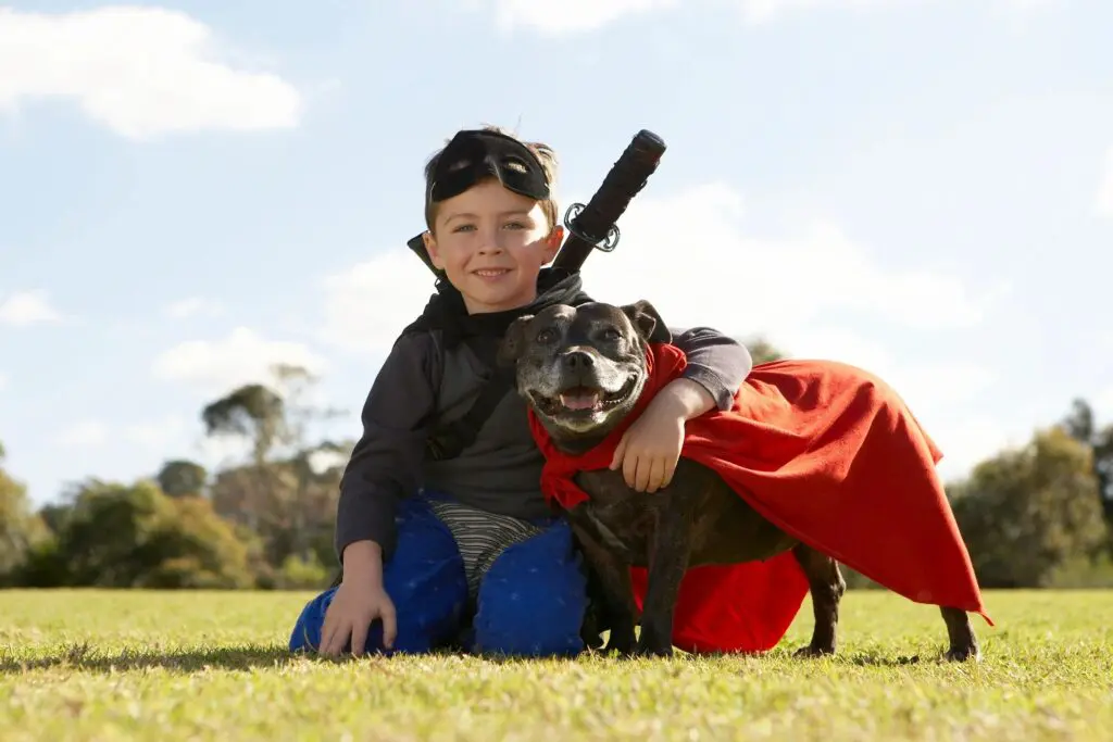 young child dressed as super hero with dog in cape