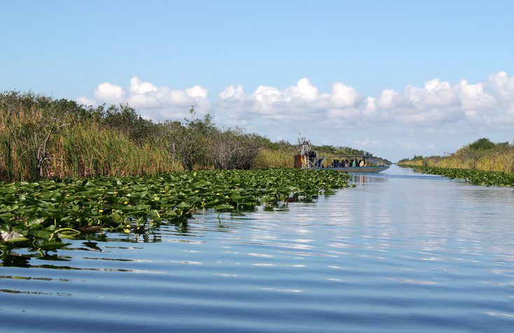 Airboat ride