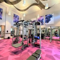 Addison at Universal Gym